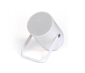 Ecler PRS10Ti projektor hangsugárzó. IP55